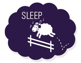 sleep_sheep.jpg